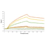 SPR Assay - Recombinant SARS-CoV-2 Spike RBD Protein (C-terminal His Tag) (A331946) - Antibodies.com