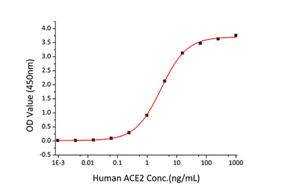 Standard Curve - Recombinant SARS-CoV-2 Spike RBD Protein (C-terminal His Tag) (A331946) - Antibodies.com