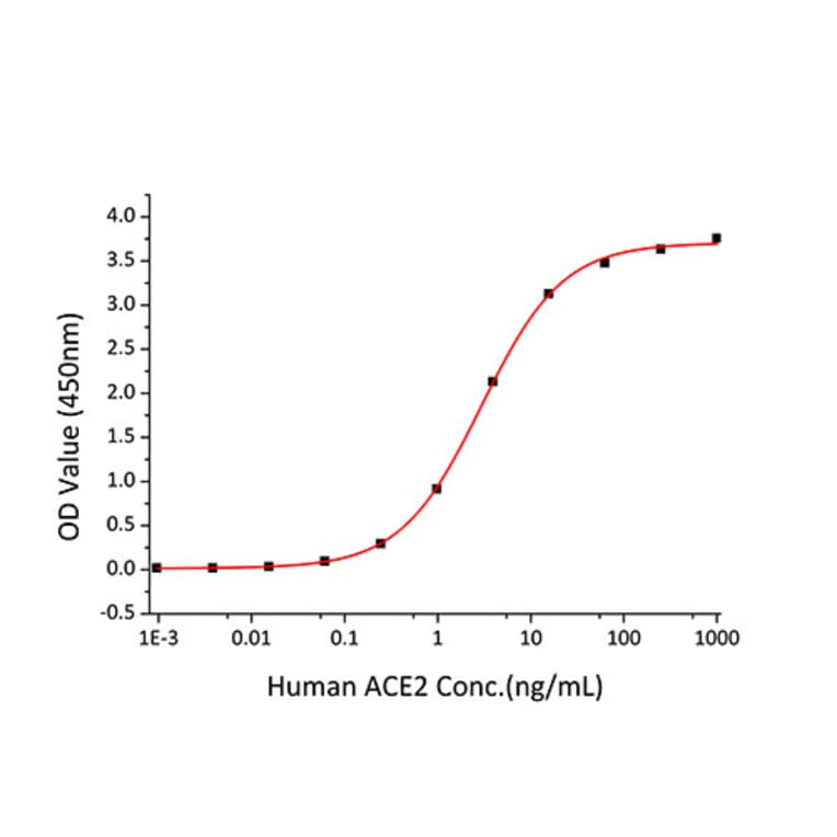 Standard Curve - Recombinant SARS-CoV-2 Spike RBD Protein (C-terminal His Tag) (A331946) - Antibodies.com