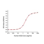 Standard Curve - Recombinant SARS-CoV-2 Spike RBD Protein (C-terminal His Tag) (A331946) - Antibodies.com
