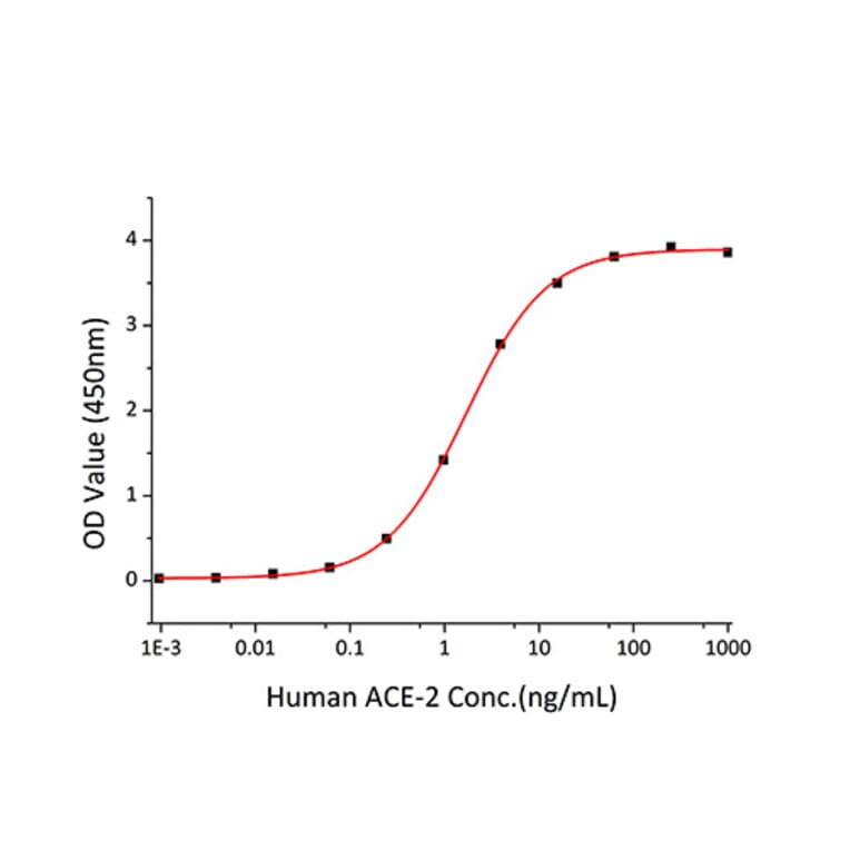 Standard Curve - Recombinant SARS-CoV-2 Spike RBD Protein (C-terminal His Tag) (A331946) - Antibodies.com