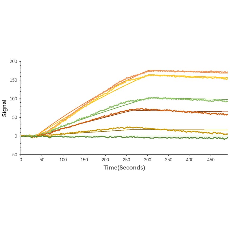 SPR Assay - Recombinant SARS-CoV-2 Spike S1 Protein (C-terminal Human Fc and His Tag) (A331947) - Antibodies.com