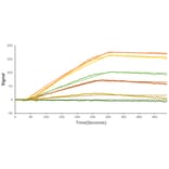 SPR Assay - Recombinant SARS-CoV-2 Spike S1 Protein (C-terminal Human Fc and His Tag) (A331947) - Antibodies.com