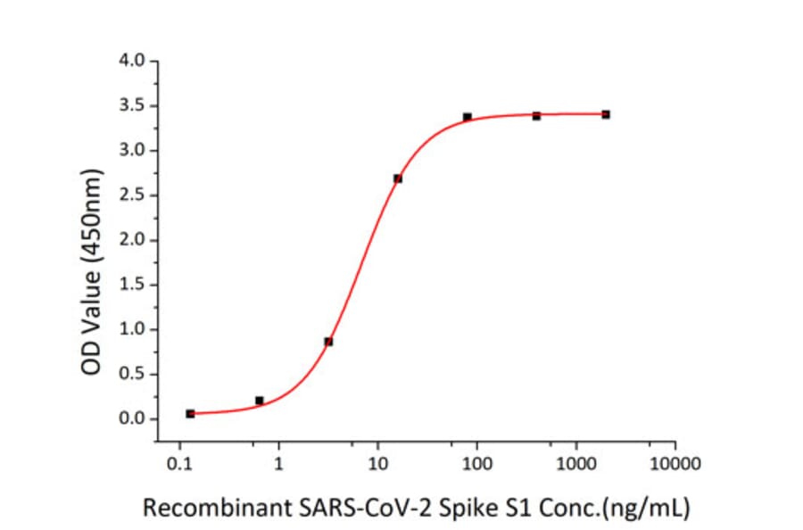 Standard Curve - Recombinant SARS-CoV-2 Spike S1 Protein (C-terminal Human Fc and His Tag) (A331947) - Antibodies.com