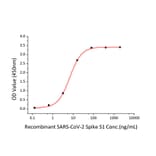 Standard Curve - Recombinant SARS-CoV-2 Spike S1 Protein (C-terminal Human Fc and His Tag) (A331947) - Antibodies.com