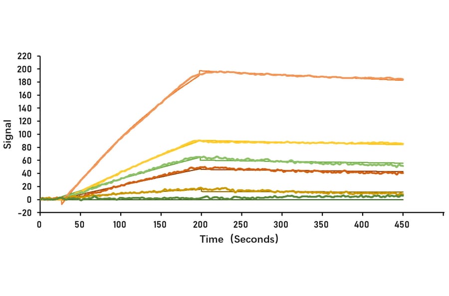 SPR Assay - Recombinant SARS-CoV-2 Spike S1 Protein (C-terminal His and Avi Tag) (A331948) - Antibodies.com