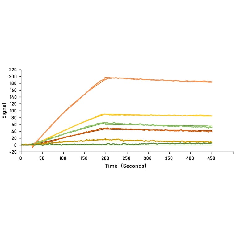 SPR Assay - Recombinant SARS-CoV-2 Spike S1 Protein (C-terminal His and Avi Tag) (A331948) - Antibodies.com