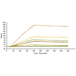 SPR Assay - Recombinant SARS-CoV-2 Spike S1 Protein (C-terminal His and Avi Tag) (A331948) - Antibodies.com