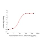 Standard Curve - Recombinant SARS-CoV-2 Spike S1 Protein (C-terminal His and Avi Tag) (A331948) - Antibodies.com