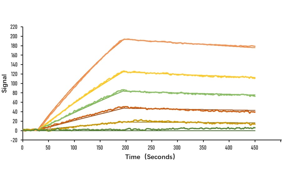 SPR Assay - Recombinant SARS-CoV-2 Spike S1 Protein (C-terminal His Tag) (A331949) - Antibodies.com