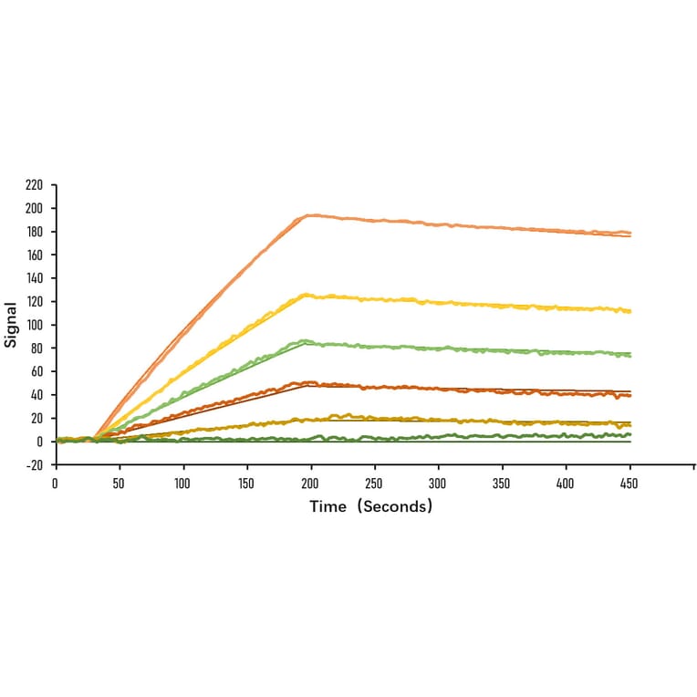 SPR Assay - Recombinant SARS-CoV-2 Spike S1 Protein (C-terminal His Tag) (A331949) - Antibodies.com
