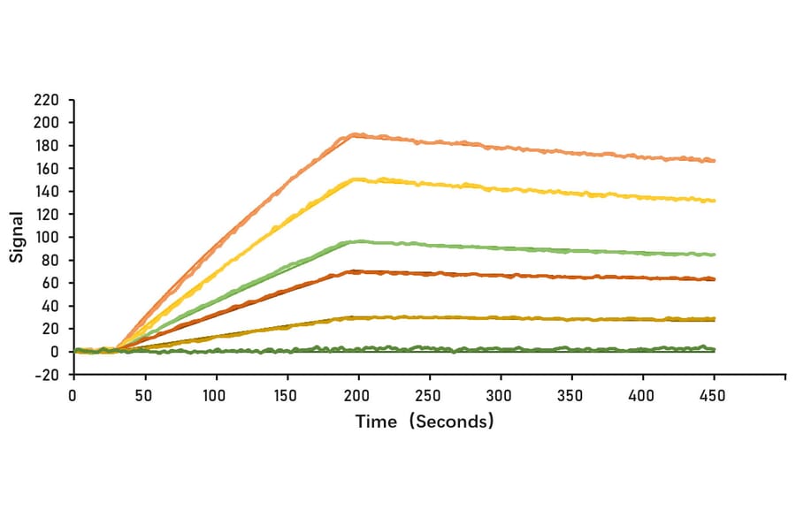 SPR Assay - Recombinant SARS-CoV-2 Spike S1 Protein (C-terminal His Tag) (A331950) - Antibodies.com