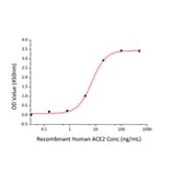Standard Curve - Recombinant SARS-CoV-2 Spike S1 Protein (C-terminal His Tag) (A331950) - Antibodies.com