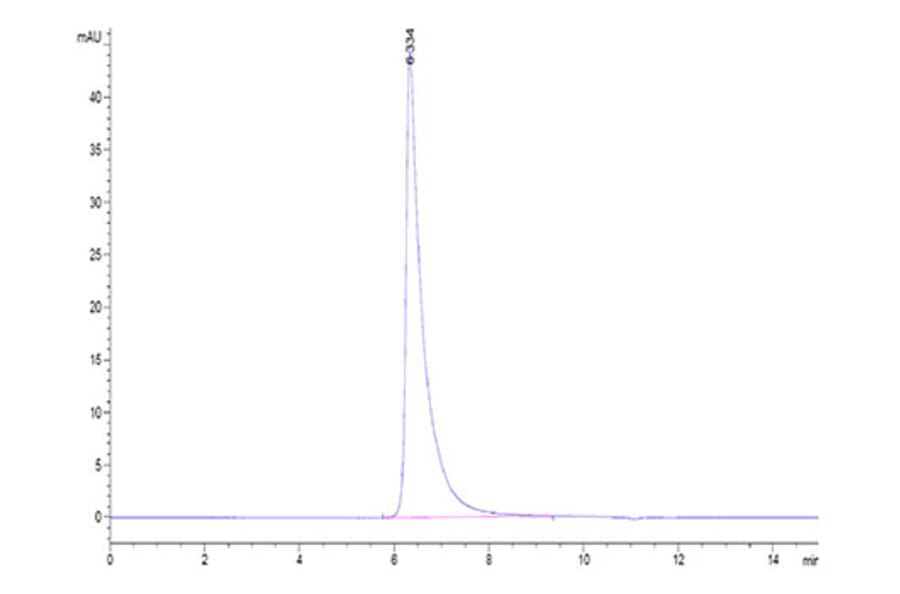 SEC-HPLC - Recombinant SARS-CoV-2 Spike S1+S2 ECD Protein (C-terminal His and Avi Tag) (A331951) - Antibodies.com