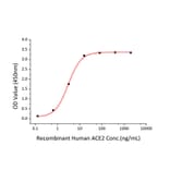 Standard Curve - Recombinant SARS-CoV-2 Spike S1+S2 ECD Protein (C-terminal His and Avi Tag) (A331951) - Antibodies.com