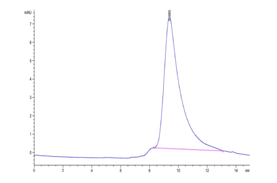 SEC-HPLC - Recombinant SARS-CoV-2 Spike S1 Protein (C-terminal His and Avi Tag) (A331952) - Antibodies.com