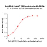 ELISA - AMT 253 Biosimilar - Anti-CD146 Antibody (A332158) - Antibodies.com