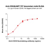 ELISA - AMT 707 Biosimilar - Anti-K Cadherin Antibody (A332194) - Antibodies.com