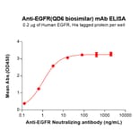 ELISA - QD6 Biosimilar - Anti-EGFR Antibody (A332206) - Antibodies.com