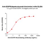 ELISA - Depatuxizumab Biosimilar - Anti-EGFR Antibody (A332208) - Antibodies.com