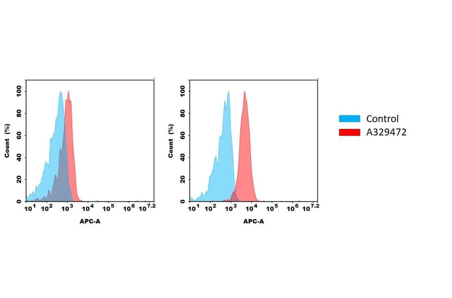 Flow Cytometry - Anti-MICA Antibody [7F12] (A332334) - Antibodies.com