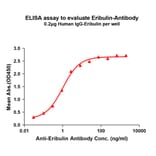 ELISA - Anti-GIPR Antibody [3G5] (A332572) - Antibodies.com