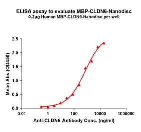 ELISA - Synthetic Nanodisc Human Claudin 6 Protein (A332832) - Antibodies.com