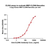 ELISA - Synthetic Nanodisc Human Claudin 6 Protein (A332832) - Antibodies.com