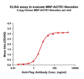 ELISA - Synthetic Nanodisc Human AGTR1 Protein (A332833) - Antibodies.com