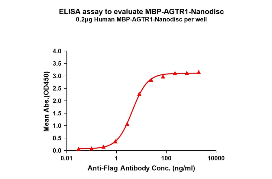 ELISA - Synthetic Nanodisc Human AGTR1 Protein (A332833) - Antibodies.com