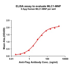 ELISA - Recombinant Human MLC1 Protein (A332837) - Antibodies.com