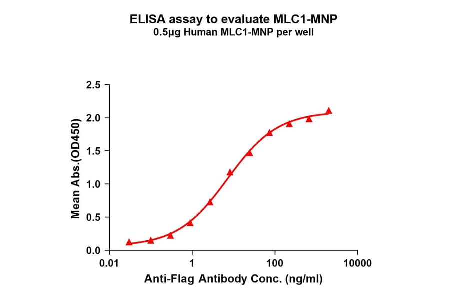 ELISA - Recombinant Human MLC1 Protein (A332837) - Antibodies.com