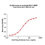 ELISA - Recombinant Human MLC1 Protein (A332837) - Antibodies.com