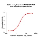 ELISA - Recombinant Human TMEM180 Protein (A332838) - Antibodies.com