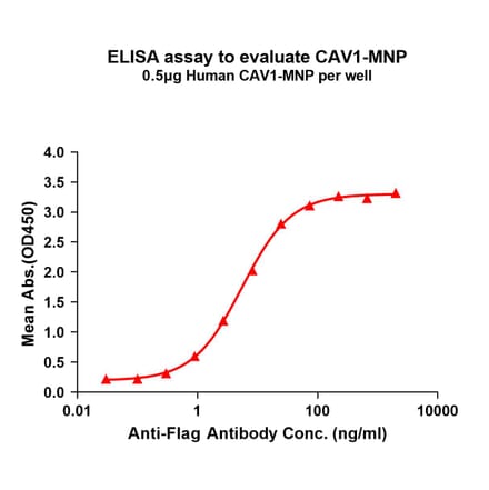 ELISA - Recombinant Human Caveolin-1 Protein (A332839) - Antibodies.com