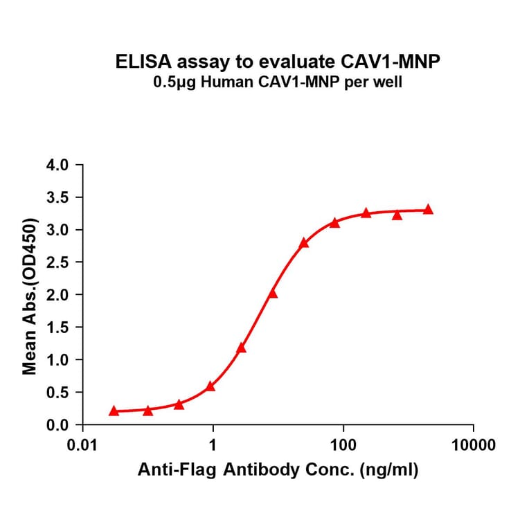 ELISA - Recombinant Human Caveolin-1 Protein (A332839) - Antibodies.com