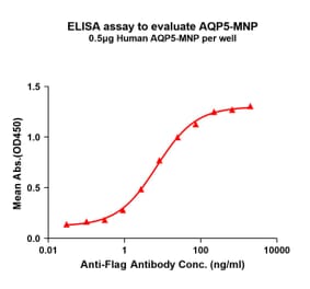 ELISA - Recombinant Human Aquaporin 5 Protein (A332841) - Antibodies.com