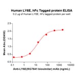 ELISA - Recombinant Human LY6E Protein (C-terminal hFc Tag) (A332892) - Antibodies.com