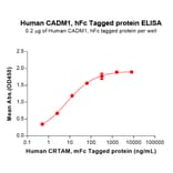 ELISA - Recombinant Human CADM1 Protein (C-terminal hFc Tag) (A332897) - Antibodies.com