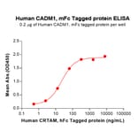 ELISA - Recombinant Human CADM1 Protein (C-terminal mFc Tag) (A332898) - Antibodies.com