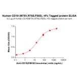 ELISA - Recombinant Human CD19 Protein (C-terminal hFc Tag) (A332911) - Antibodies.com