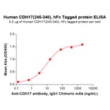 ELISA - Recombinant Human LI Cadherin Protein (C-terminal hFc Tag) (A332917) - Antibodies.com