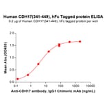 ELISA - Recombinant Human LI Cadherin Protein (C-terminal hFc Tag) (A332918) - Antibodies.com