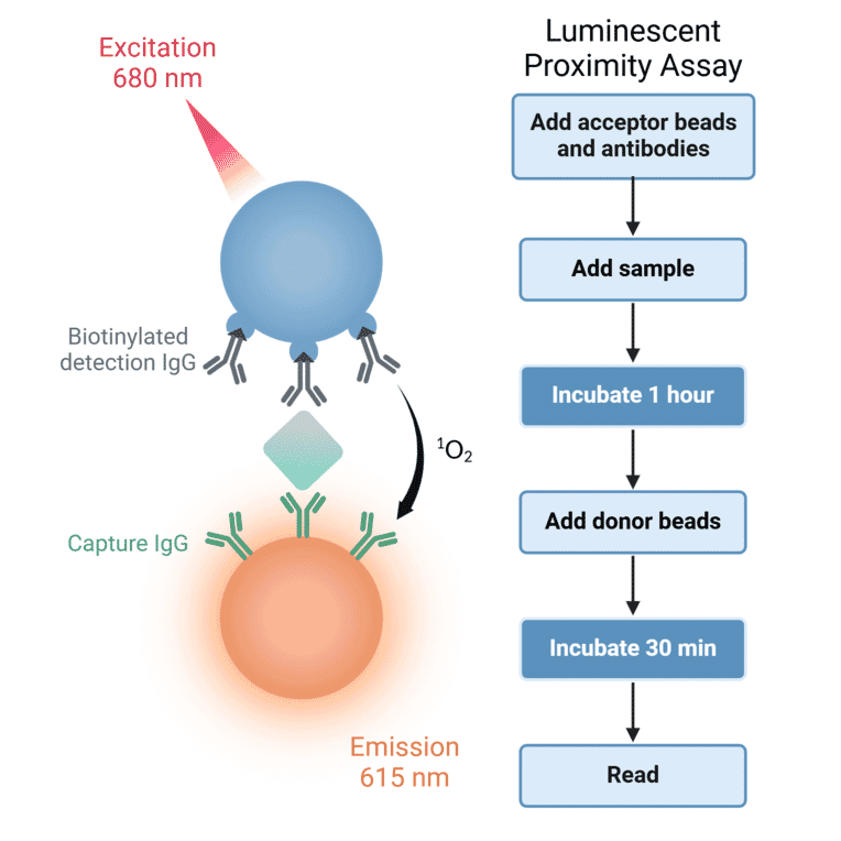 Luminescent Proximity Assays Diagram - Anti-FITC Acceptor Beads 615 (A334412) - Antibodies.com