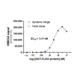 Titration Assay - Anti-FLAG Acceptor Beads 615 (A334413) - Antibodies.com