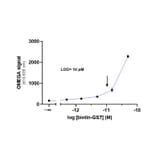 Titration Assay - GSH (Glutathione) Acceptor Beads 615 (A334419) - Antibodies.com