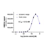 Titration Assay - Protein A Acceptor Beads 615 (A334420) - Antibodies.com