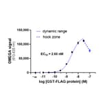 Titration Assay - Anti-FLAG Donor Beads 680 (A334427) - Antibodies.com