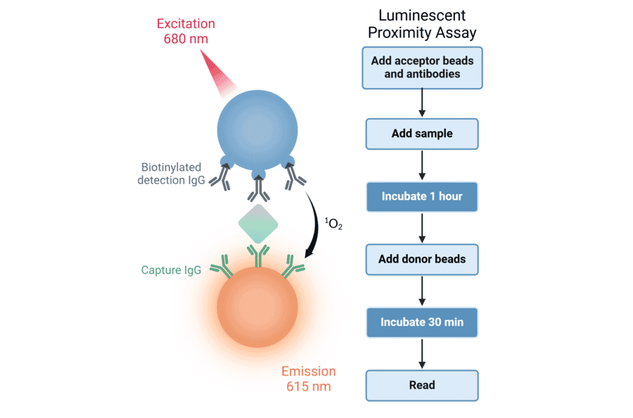 Luminescent Proximity Assays Diagram - Protein G Donor Beads 680 (A334435) - Antibodies.com