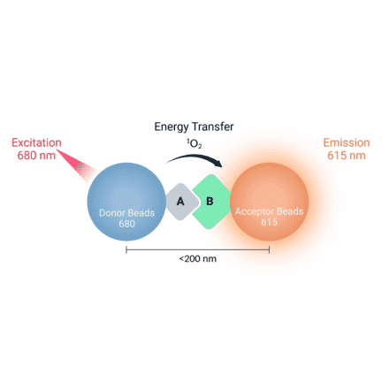 Bead Interaction - Streptavidin Donor Beads 680 (A334436) - Antibodies.com